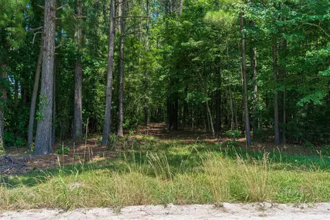 tbd Herring Ln, Loris, SC 29569 photo 13