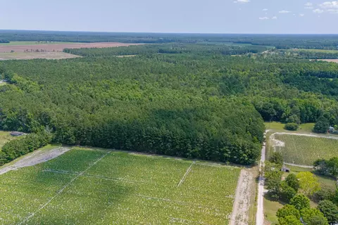 tbd Herring Ln, Loris, SC 29569 photo 16