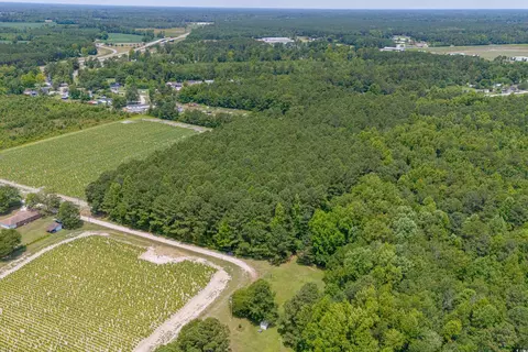 tbd Herring Ln, Loris, SC 29569 photo 15