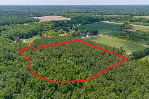 tbd Herring Ln, Loris, SC 29569 photo 3