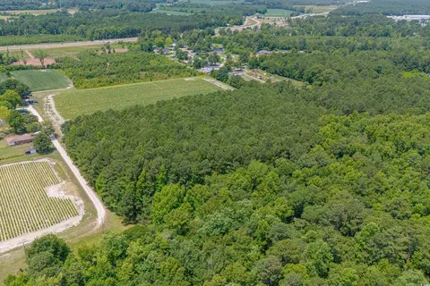 tbd Herring Ln, Loris, SC 29569 photo 14