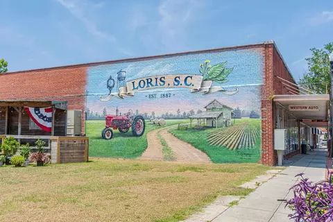 tbd Herring Ln, Loris, SC 29569 photo 18