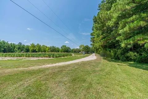 tbd Herring Ln, Loris, SC 29569 photo 12