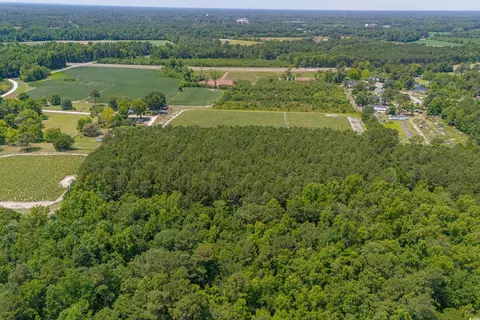 tbd Herring Ln, Loris, SC 29569 photo 17