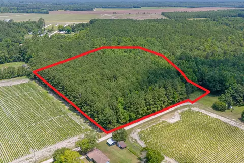 tbd Herring Ln, Loris, SC 29569