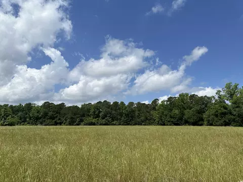 tbd Mary Rd, Greeleyville, SC 29056