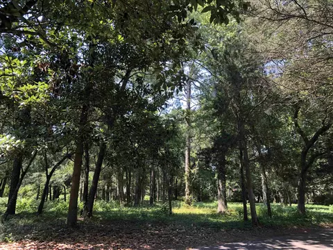 101 Holly Ln, Myrtle Beach, SC 29572