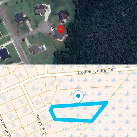 3804 Maple Run, Conway, SC 29526 photo 40