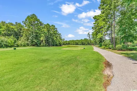 2009 Spring Valley Ct, Loris, SC 29569 photo 7
