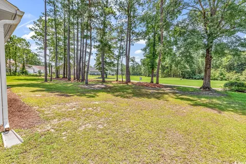 2009 Spring Valley Ct, Loris, SC 29569 photo 35