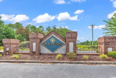 2009 Spring Valley Ct, Loris, SC 29569 photo 36