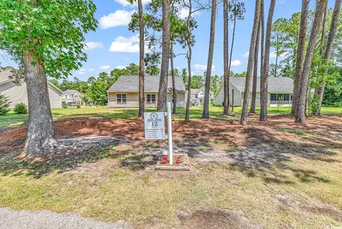 2009 Spring Valley Ct, Loris, SC 29569 photo 6