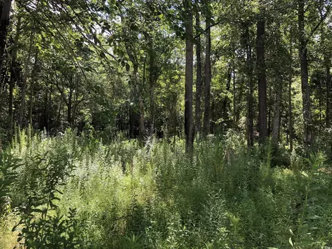 6135 Lot 2 Red Bluff Rd, Loris, SC 29569