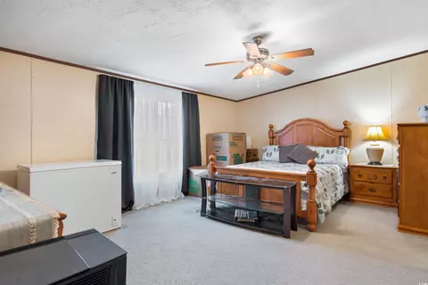 7019 Spencer Jr Rd, Gresham, SC 29546 photo 16
