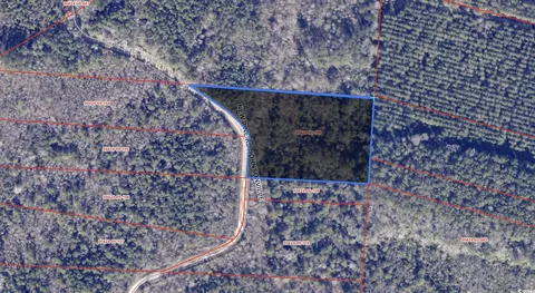 tbd New Pine Rd, Johnsonville, SC 29555