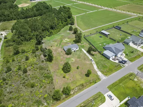 7380 Johnson Shortcut Rd, Conway, SC 29527 photo 6