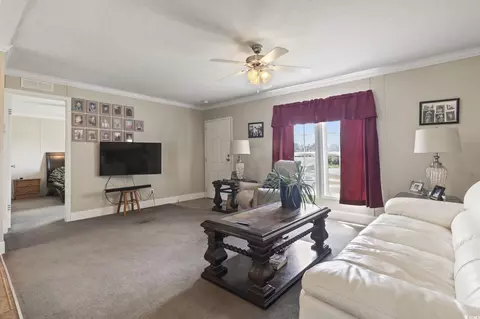 7380 Johnson Shortcut Rd, Conway, SC 29527 photo 17
