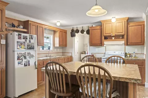 7380 Johnson Shortcut Rd, Conway, SC 29527 photo 24