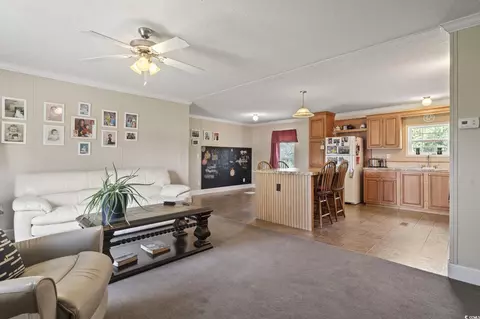7380 Johnson Shortcut Rd, Conway, SC 29527 photo 26