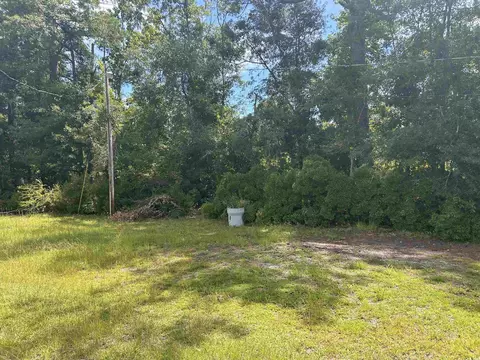 1451 Powell Rd, Georgetown, SC 29440 photo 21