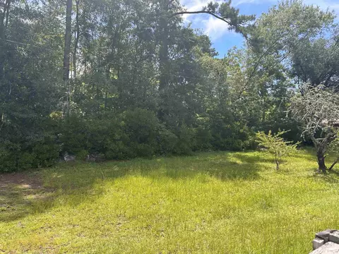 1451 Powell Rd, Georgetown, SC 29440 photo 19