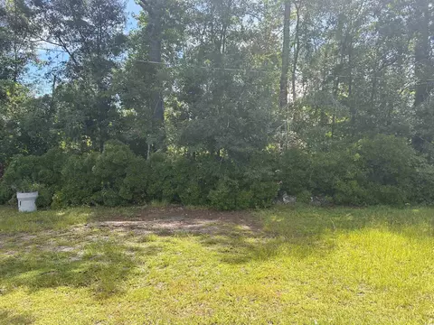 1451 Powell Rd, Georgetown, SC 29440 photo 20