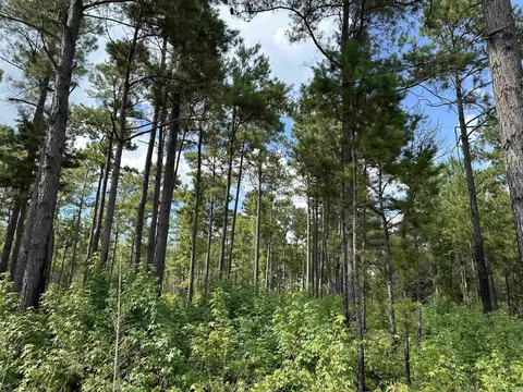 tbd Highway 521, Salters, SC 29590