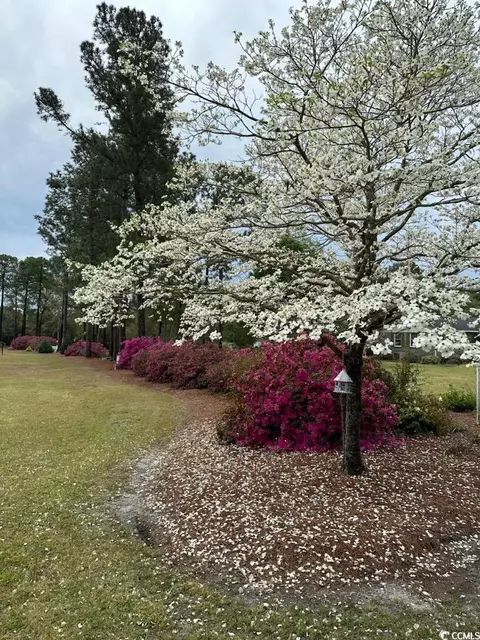 1727 2nd St, Loris, SC 29569 photo 30