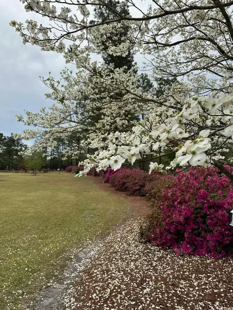 1727 2nd St, Loris, SC 29569 photo 31