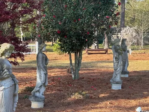 1727 2nd St, Loris, SC 29569 photo 34