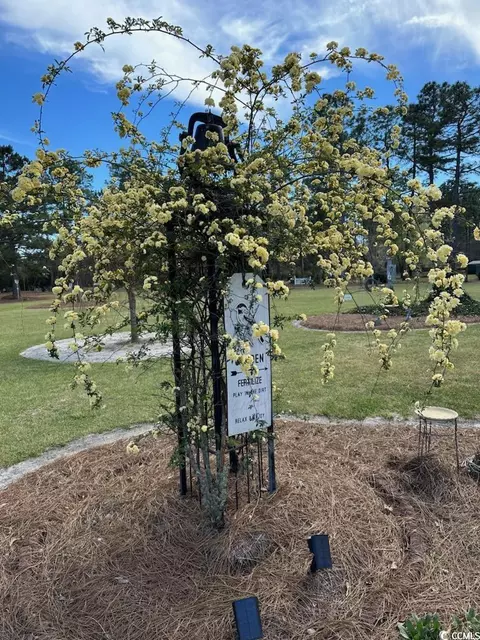1727 2nd St, Loris, SC 29569 photo 35