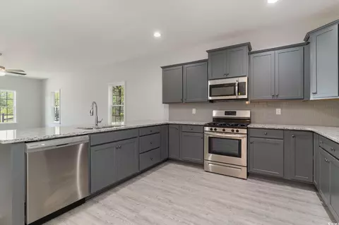 303 Lakota Loop, Longs, SC 29568 photo 8