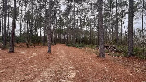 1284 Cheyenne Rd, Conway, SC 29526 photo 2