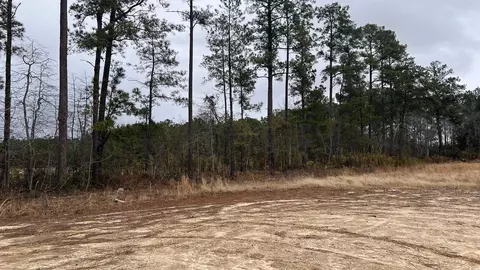 1284 Cheyenne Rd, Conway, SC 29526 photo 10