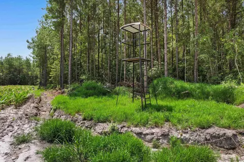 tbd Wiggins Rd, Mullins, SC 29574 photo 5
