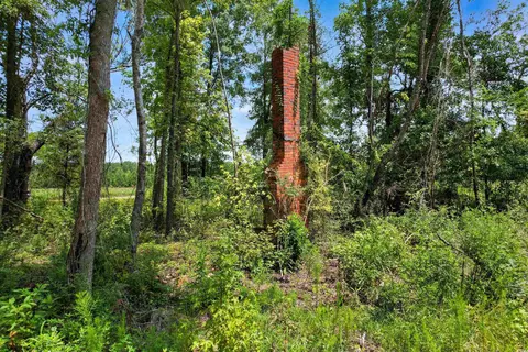tbd Wiggins Rd, Mullins, SC 29574 photo 7