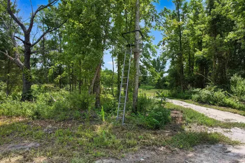 tbd Wiggins Rd, Mullins, SC 29574 photo 9