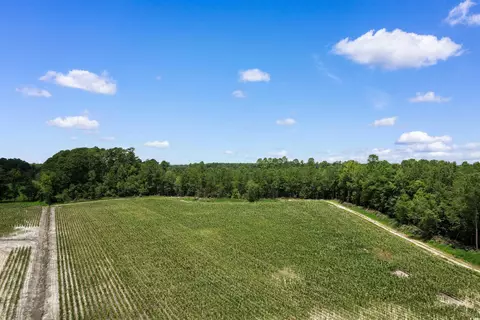 tbd Wiggins Rd, Mullins, SC 29574 photo 4