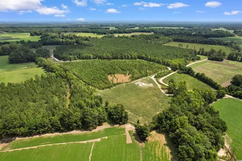 tbd Wiggins Rd, Mullins, SC 29574 photo 16