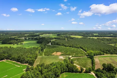 tbd Wiggins Rd, Mullins, SC 29574 photo 8