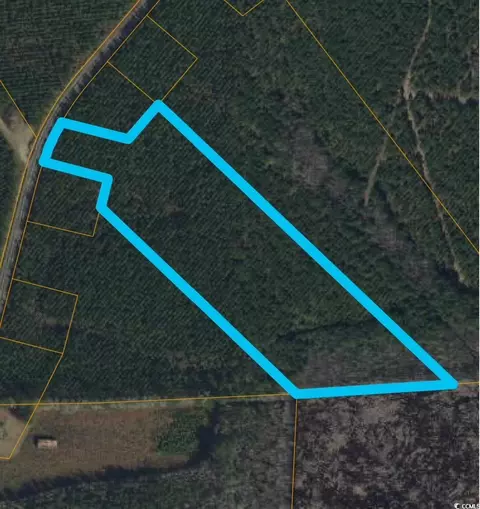tbd Gause Rd, Loris, SC 29569 photo 2