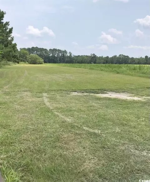 tbd Mark Dr, Conway, SC 29527