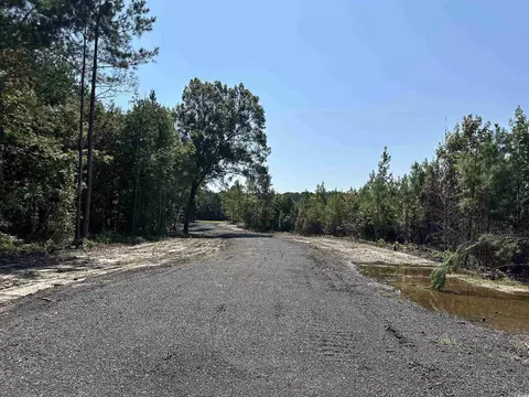 tbd Santee Rd, Andrews, SC 29510