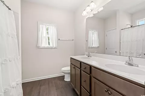 280 Palm Terrace Loop, Conway, SC 29526 photo 20