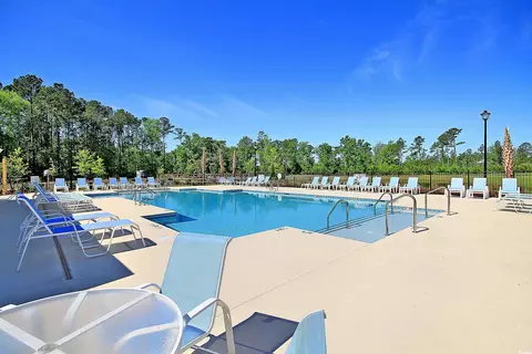 708 El Pepino Loop, Longs, SC 29568 photo 19