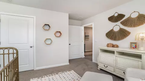 112 Spring Wheat Way, Conway, SC 29527 photo 9