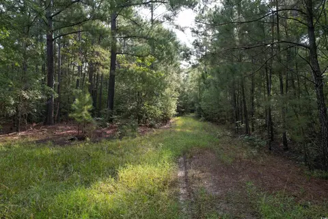 tbd Mackey Rd, Greeleyville, SC 29056