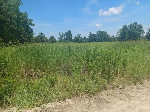 0 Davis Ln, Mullins, SC 29574