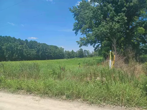 0 Davis Ln, Mullins, SC 29574 photo 4