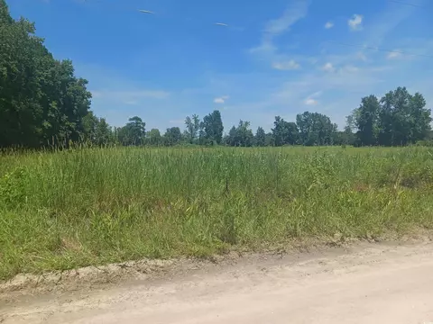0 Davis Ln, Mullins, SC 29574 photo 5
